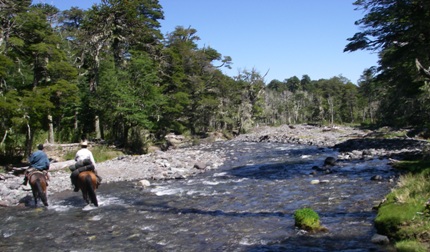 one of the nimerous creeks we cross on our crossing the andes Chile to Argentina on Horseback trail ride